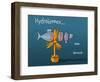 Heula. Hydroliennes normandes-Sylvain Bichicchi-Framed Art Print