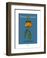 Heula. Tournesol normand-Sylvain Bichicchi-Framed Art Print