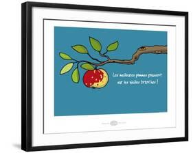 Heula. Vieille branche-Sylvain Bichicchi-Framed Art Print