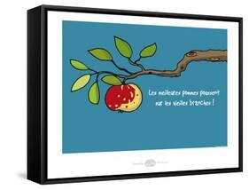 Heula. Vieille branche-Sylvain Bichicchi-Framed Stretched Canvas