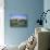 Hever Castle, Kent, England, United Kingdom-Roy Rainford-Stretched Canvas displayed on a wall