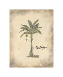 Plantain Palm-Hewitt-Framed Giclee Print