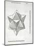 Hexaedron Abscisum Elevatum Solidum, Illustration from 'Divina Proportione' by Luca Pacioli…-Leonardo da Vinci-Mounted Giclee Print
