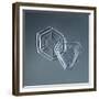 Hexagonal and Triangular Plate Snowflakes-null-Framed Giclee Print