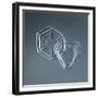 Hexagonal and Triangular Plate Snowflakes-null-Framed Giclee Print