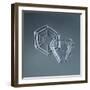 Hexagonal and Triangular Plate Snowflakes-null-Framed Giclee Print