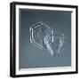 Hexagonal and Triangular Plate Snowflakes-null-Framed Giclee Print