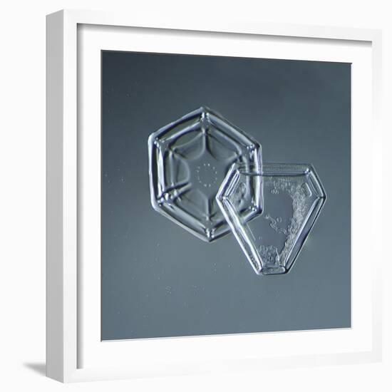 Hexagonal and Triangular Plate Snowflakes-null-Framed Giclee Print
