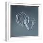 Hexagonal and Triangular Plate Snowflakes-null-Framed Giclee Print