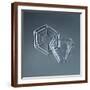 Brown Frame