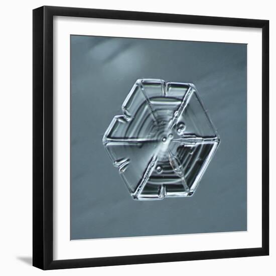 Hexagonal Plate Snowflake-null-Framed Giclee Print