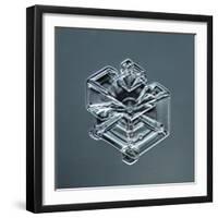 Hexagonal Plate Snowflake-null-Framed Giclee Print