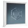 Hexagonal Plate Snowflake-null-Framed Giclee Print
