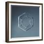 Hexagonal Plate Snowflake-null-Framed Giclee Print