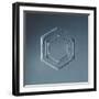 Hexagonal Plate Snowflake-null-Framed Giclee Print