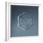 Hexagonal Plate Snowflake-null-Framed Giclee Print