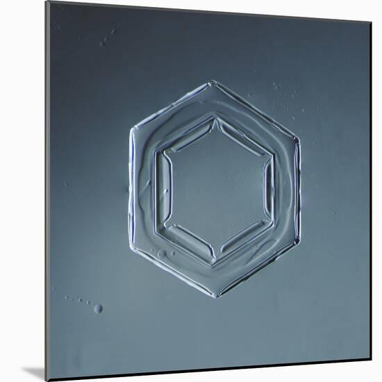 Hexagonal Plate Snowflake-null-Mounted Giclee Print