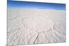Hexagonal Shaped Salt Flats, Salar De Uyuni, Bolivia, South America-Kim Walker-Mounted Photographic Print