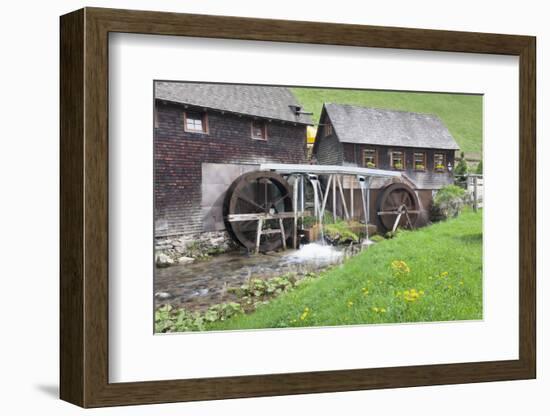 Hexenlochmühle close Furtwangen, Black Forest, Baden-Wurttemberg, Germany-Markus Lange-Framed Photographic Print