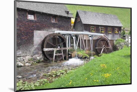 Hexenlochmühle close Furtwangen, Black Forest, Baden-Wurttemberg, Germany-Markus Lange-Mounted Photographic Print