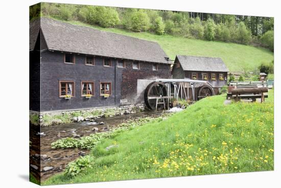 Hexenlochmuehle Mill Near Furtwangen in Spring, Black Forest, Baden Wurttemberg, Germany-Markus Lange-Stretched Canvas