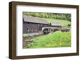 Hexenlochmuehle Mill Near Furtwangen in Spring, Black Forest, Baden Wurttemberg, Germany-Markus Lange-Framed Photographic Print