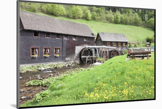 Hexenlochmuehle Mill Near Furtwangen in Spring, Black Forest, Baden Wurttemberg, Germany-Markus Lange-Mounted Photographic Print