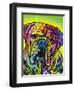 Hey Bulldog-Dean Russo-Framed Giclee Print