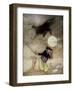 Hey Diddle Diddle, Old Nursery Thymes-Arthur Rackham-Framed Art Print