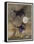 Hey Diddle Diddle-Arthur Rackham-Framed Stretched Canvas