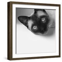 Hey!-Jon Bertelli-Framed Photographic Print