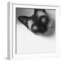 Hey!-Jon Bertelli-Framed Photographic Print