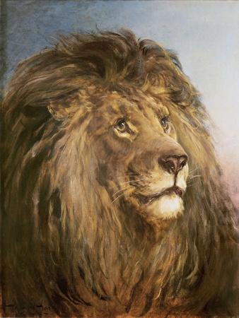 A Lion's Head