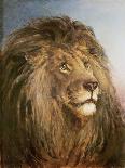 A Lion's Head-Heywood Hardy-Giclee Print