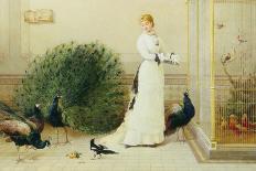 In the Conservatory-Heywood Hardy-Giclee Print
