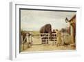 White Frame