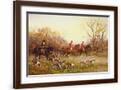 Brown Frame