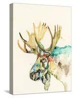 Hi Fi Wildlife IV-Jennifer Goldberger-Stretched Canvas