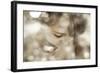 Hi Lite-null-Framed Art Print