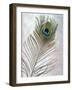 Hi Res-Alan Blaustein-Framed Photographic Print