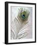 Hi Res-Alan Blaustein-Framed Photographic Print