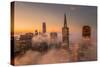 Hi Rise Lo Fog Downtown San Francisco Morning Beauty-Vincent James-Stretched Canvas