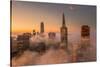 Hi Rise Lo Fog Downtown San Francisco Morning Beauty-Vincent James-Stretched Canvas