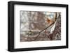 Hi-null-Framed Art Print