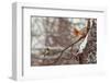 Hi-Dmitry Laudin-Framed Premium Photographic Print