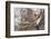 Hi-Dmitry Laudin-Framed Photographic Print