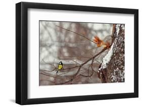 Hi-Dmitry Laudin-Framed Photographic Print