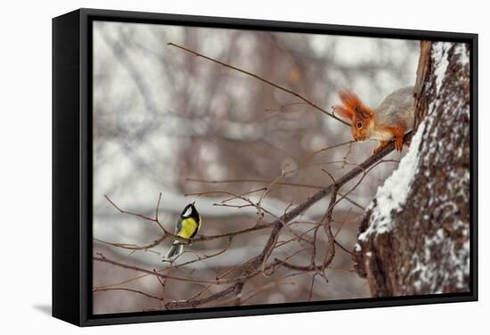 Hi-Dmitry Laudin-Framed Stretched Canvas