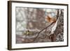 Hi-Dmitry Laudin-Framed Photographic Print