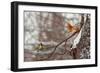 Hi-Dmitry Laudin-Framed Photographic Print